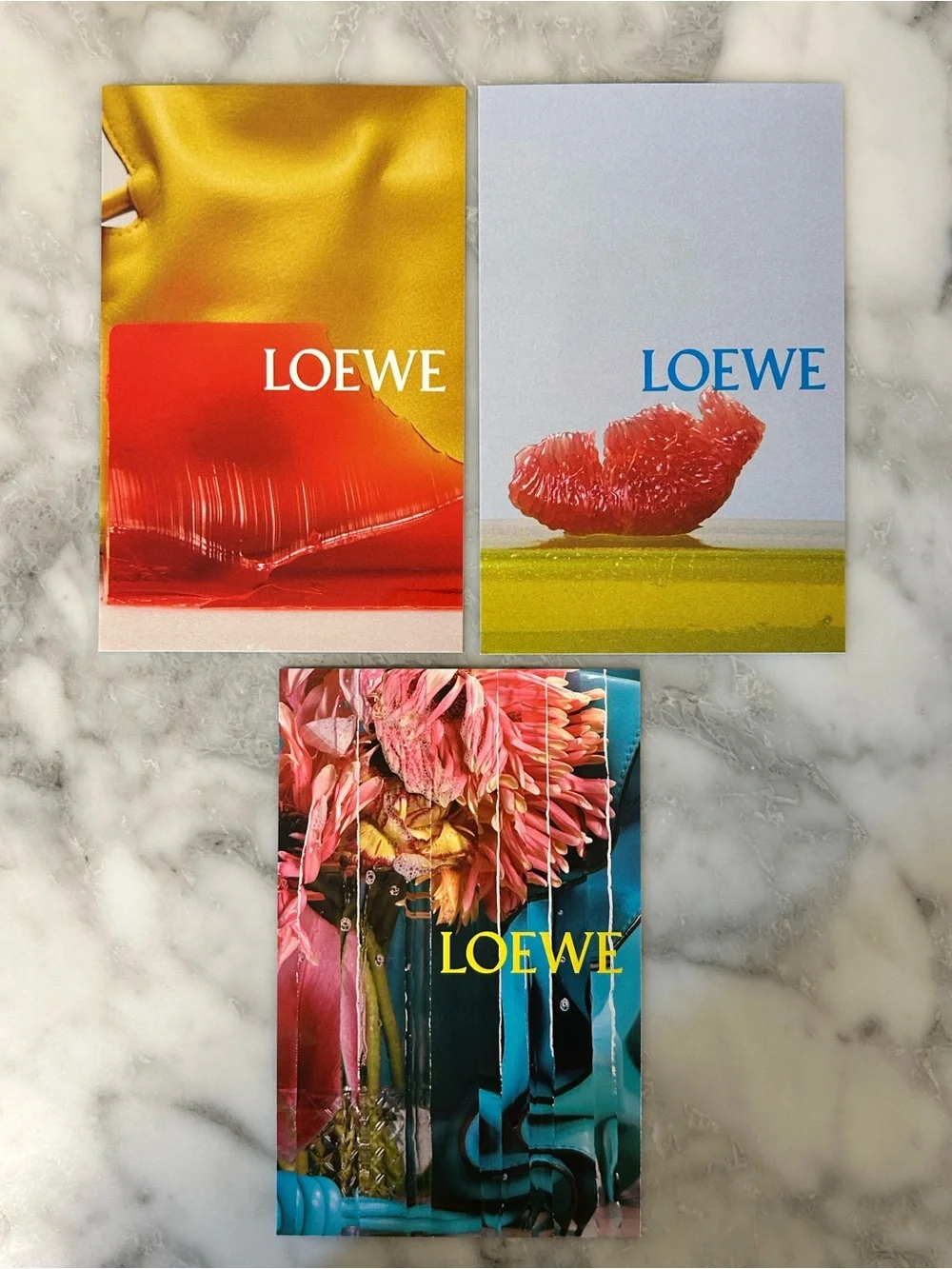• LOEWE Issue 10 Collector Magazine Spring/Summer 2026 Collection •